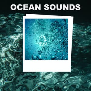 Ocean Sounds - The Ocean Waves Sounds