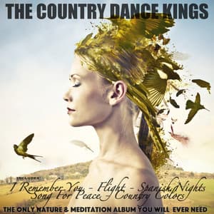 The Only Nature & Meditation Album You Will Ever Need - The Country Dance Kings
