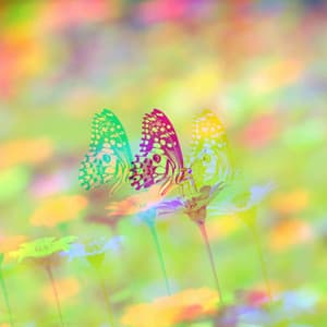 Music for llustrious Shapes - Bossa Guitar Trio - Musica para Estudiar Playlist