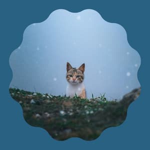 Swanky Bartione Sax solo - Ambiance for Kittens Playing - Calm Cat Music