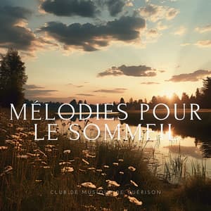 Mélodies pour le sommeil, La tranquillité & fantaisies - Club de musique de guérison