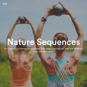 #01 Nature Sequences for Creating a Calming Environment That Helps You Stay on Task and Maintain Your Concentration - The Nature Soundscapes