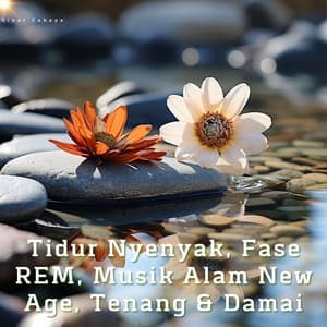 Tidur Nyenyak, Fase REM, Musik Alam New Age, Tenang & Damai - Sinar Cahaya