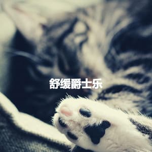 舒缓爵士乐 - Smooth Jazz Chill Out Playlist