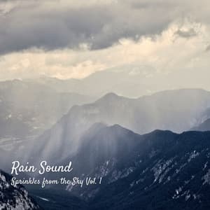 Rain Sound: Sprinkles from the Sky Vol. 1 - Rain Hive