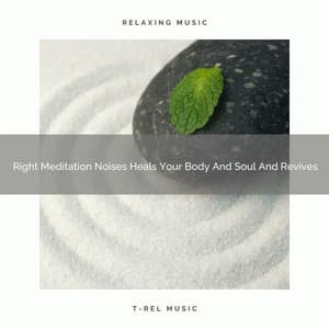 Right Meditation Noises Heals Your Body And Soul And Revives - Timeless Relax