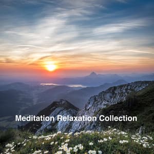 Meditation Relaxation Collection - Hang Drum Sound Collectors