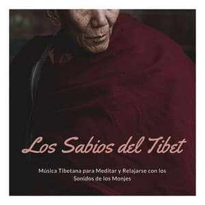 Los Sabios del Tibet: Música Tibetana para Meditar y Relajarse con los Sonidos de los Monjes - Monjes Tibetanos