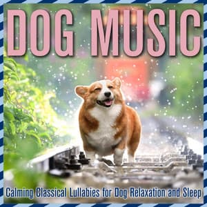 Dog Music: Calming Classical Lullabies for Dog Relaxation and Sleep - PetTunes