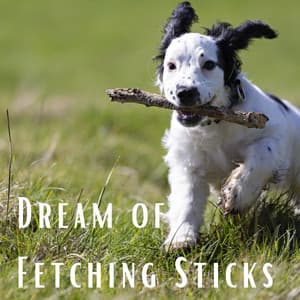 Dream of Fetching Sticks - Dog Radio 1