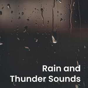 Rain and Thunder Sounds - Pro Sounds of Nature