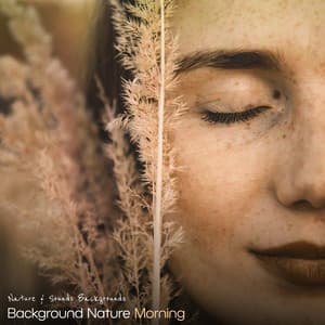 # 1 A Background Nature Morning - Nature & Sounds Backgrounds