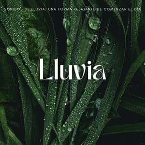 Sonidos De Lluvia: Una Forma Relajante De Comenzar El Día - Lluvia