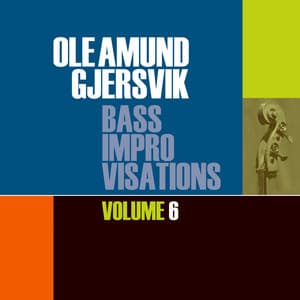 Bass Improvisations Vol. 6 - Ole Amund Gjersvik