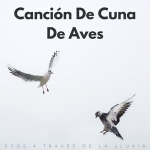 Canción De Cuna De Aves: Ecos A Través De La Lluvia - Juegos de lluvia