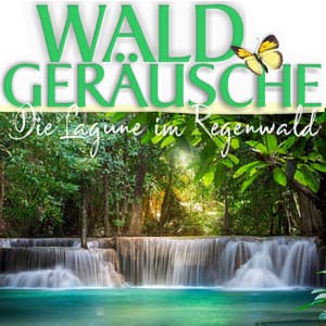 Die Lagune im Regenwald - Waldgeräusche