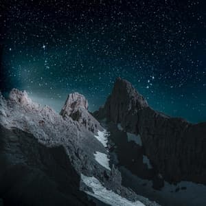 25 Pathways: Soothing Melodies - Baltic Nature Sounds