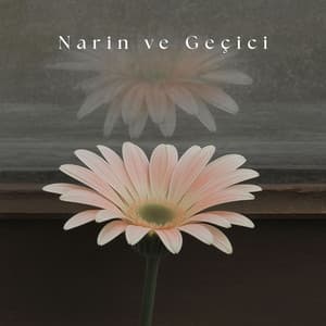 Narin ve Geçici - Rahatlatıcı Müzik Terapi