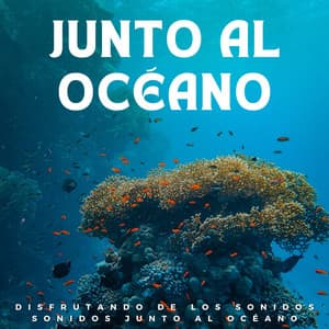 Disfrutando De Los Sonidos Sonidos Junto Al Océano - Océanos y Océanos