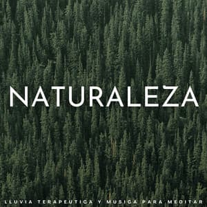 Naturaleza: Lluvia Terapéutica Y Música Para Meditar - Muestreo de lluvia profunda