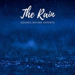 Ambient Rain Drops - The Rain Sounds Nature Experts