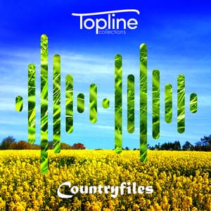 Topline Collections: Countryfiles - Dave Cooke