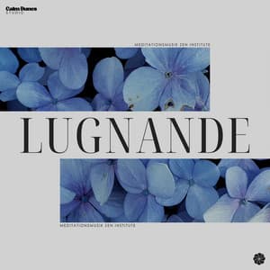Lugnande - Meditationsmusik zen institute