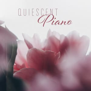 Quiescent Piano: Background for Sleeping, Relax, Study, Lounge - Chill After Dark