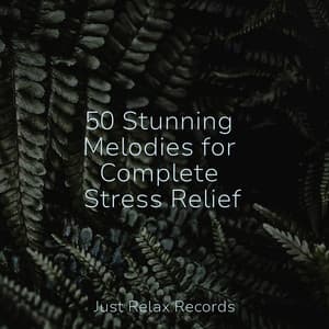 50 Stunning Melodies for Complete Stress Relief - Chinese Relaxation and Meditation