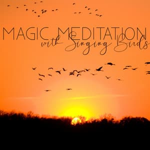 Magic Meditation with Singing Birds. New Age Music that Stimulates Fantasy - Magic Music Ensemble