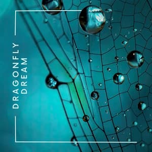 Dragonfly Dream - Isabel Sallow