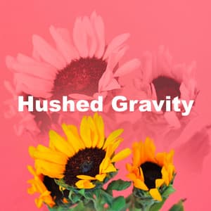Hushed Gravity - Focus Chamber
