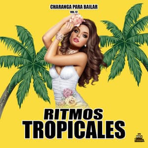 Charangas Para Bailar Vol. 12 - Ritmos Tropicales