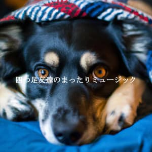 四つ足友達のまったりミュージック - Cooking Background Music