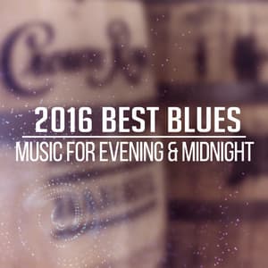 2016 Best Blues - Moon BB Band
