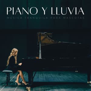 Piano Y Lluvia: Música Tranquila Para Mascotas - Maestras de piano jazz