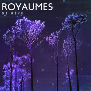 Royaumes de rêve - Zone de la Musique Relaxante