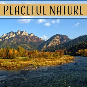 Peaceful Nature – Relaxing Sounds of Nature, Sounds of Rain, Sounds of Forest, Ambient Music, Zen Meditation, Yoga Relaxation - Nature Sounds Paradise
