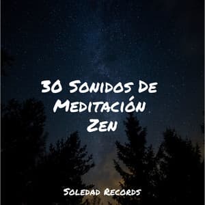 30 Sonidos De Meditación Zen - Yoga Para Ninos