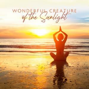 Wonderful Creature of the Sunlight - Alan Samhita