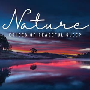 Nighttime Serenity: Echoes of Peaceful Sleep - The Sleep Crew