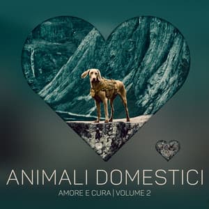Animali domestici amore e cura: Volume 2, Hotel spa e terapia per animali domestici, Musica per il recupero degli animali domestici - Musica Relax Academia