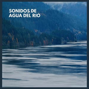 Sonidos de Agua del Rio - Sonidos De La Selva