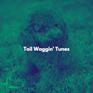 Tail Waggin' Tunes - Holiday Jazz Ensemble Ambience