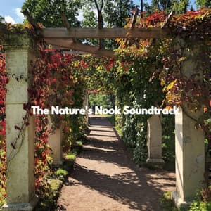 The Nature's Nook Soundtrack - Coffee Shop Smooth Jazz Radio