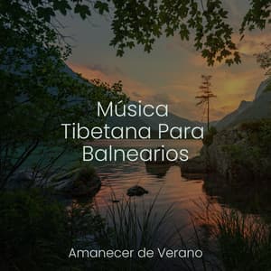 Música Tibetana Para Balnearios - El hada de las canciones de cuna