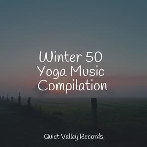 Winter 50 Yoga Music Compilation - The Rainforest Collective
