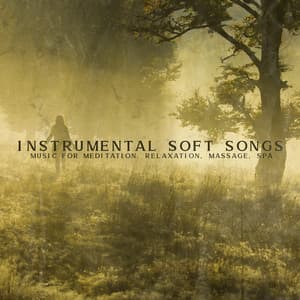 Instrumental Soft Songs: Music for Meditation, Relaxation, Massage, Spa - Sensual New Age Maker