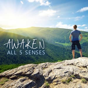 Awaken All 5 Senses - Relax Ambience