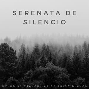 Serenata De Silencio: Melodías Tranquilas De Ruido Blanco - Ruido blanco natural